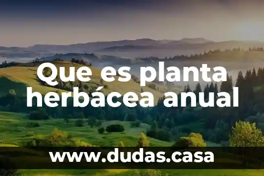 Que es planta herbácea anual