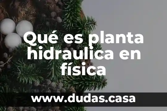 Qué es planta hidraulica en física