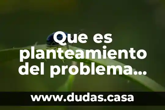 Que es planteamiento del problema programacion
