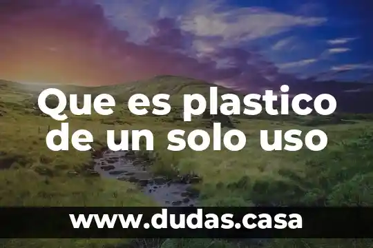 Que es plastico de un solo uso