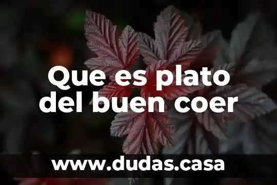 Que es plato del buen coer