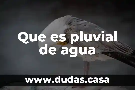 Que es pluvial de agua