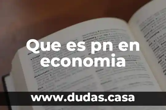 Que es pn en economia