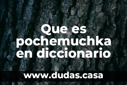 Que es pochemuchka en diccionario
