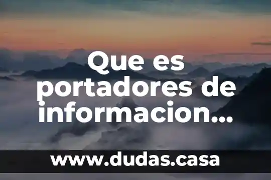 Que es portadores de informacion matematica
