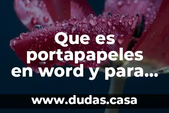 Que es portapapeles en word y para que funciona
