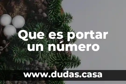 Que es portar un número
