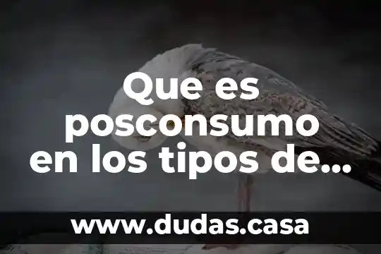Que es posconsumo en los tipos de informacion