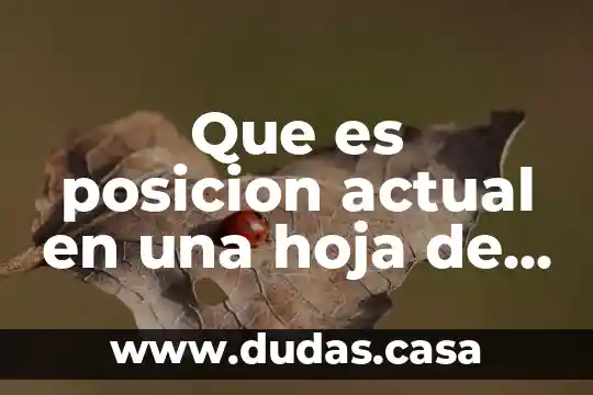 Que es posicion actual en una hoja de vida