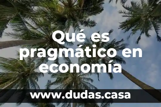 Qué es pragmático en economía