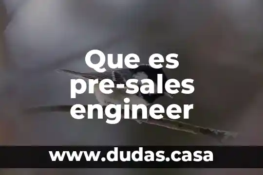 Que es pre-sales engineer