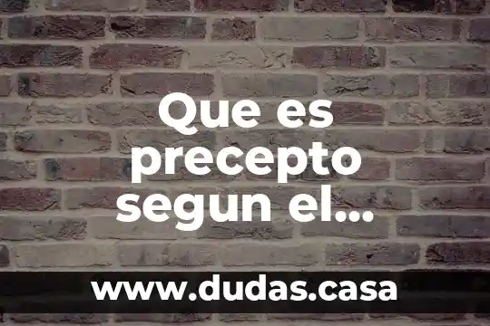 Que es precepto segun el dicionario
