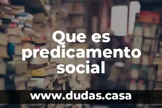 Que es predicamento social