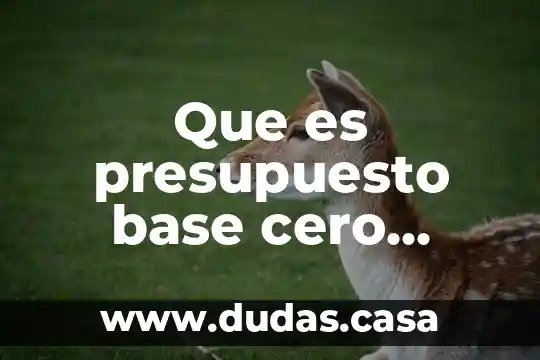 Que es presupuesto base cero ejemplo