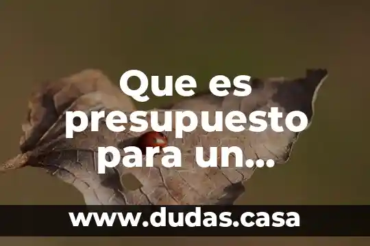 Que es presupuesto para un proyecto