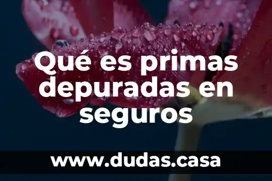 Qué es primas depuradas en seguros