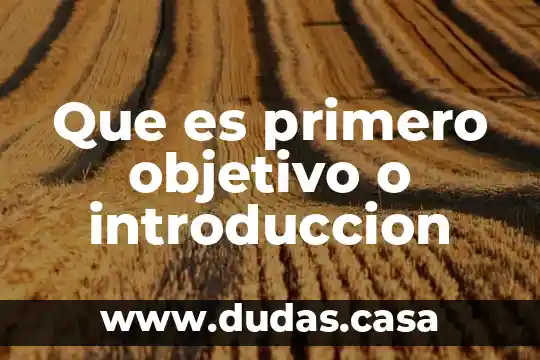 Que es primero objetivo o introduccion
