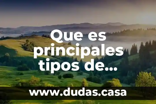 Que es principales tipos de lenguaje