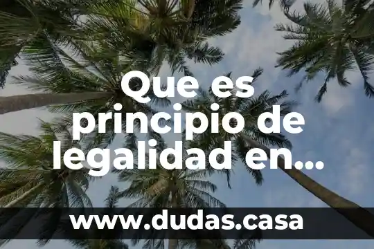 Que es principio de legalidad en mexico