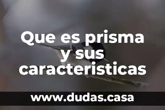 Que es prisma y sus caracteristicas