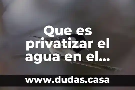 Que es privatizar el agua en el salvador
