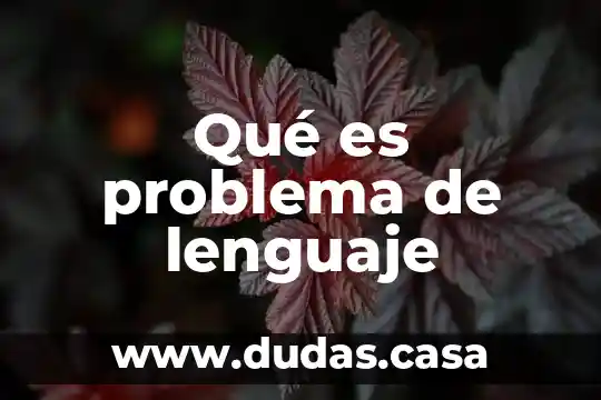 Qué es problema de lenguaje
