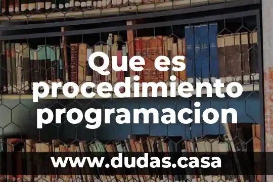 Que es procedimiento programacion