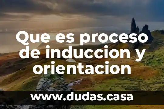 Que es proceso de induccion y orientacion