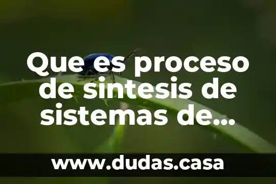 Que es proceso de sintesis de sistemas de informacion