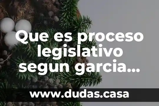 Que es proceso legislativo segun garcia maynez
