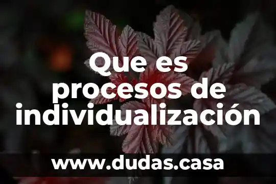 Que es procesos de individualización