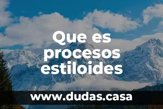 Que es procesos estiloides