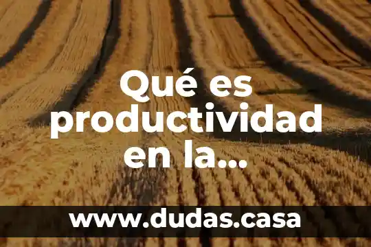 Qué es productividad en la fabricación del tubo de cobre