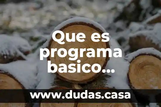 Que es programa basico arquitectura