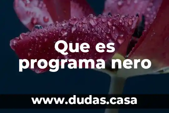 Que es programa nero