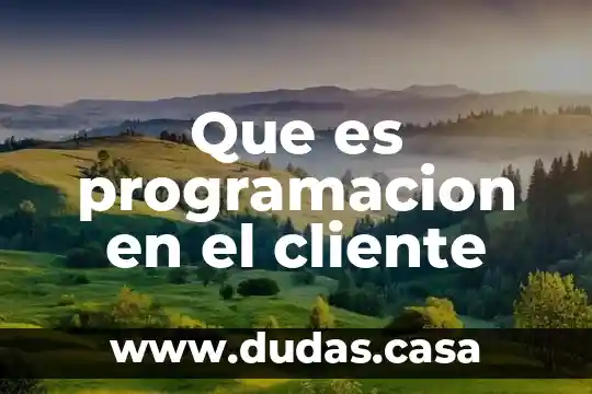Que es programacion en el cliente