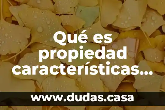 Qué es propiedad características y elementos