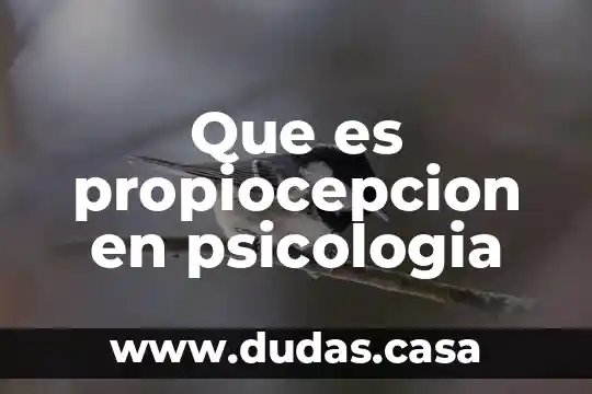 Que es propiocepcion en psicologia