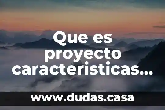 Que es proyecto caracteristicas e importancia