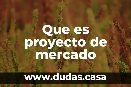 Que es proyecto de mercado
