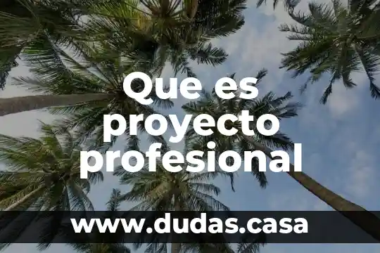 Que es proyecto profesional