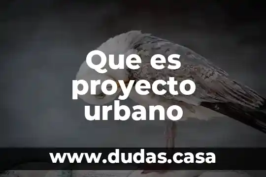 Que es proyecto urbano