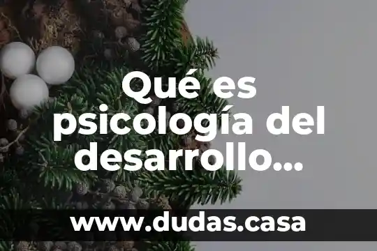 Qué es psicología del desarrollo Wallon, Kohlberg y Erikson