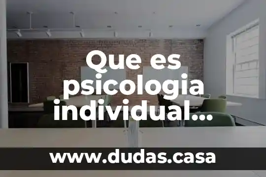 Que es psicologia individual resumen