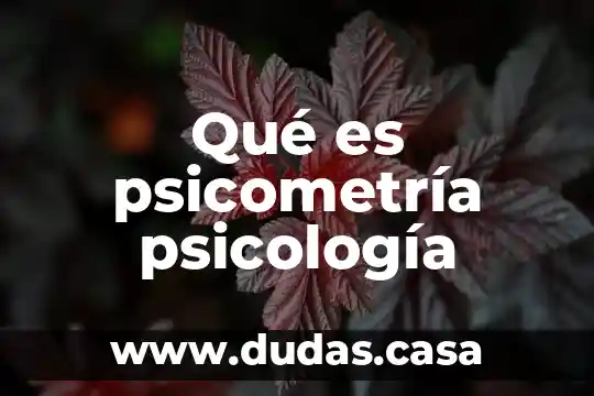 Qué es psicometría psicología