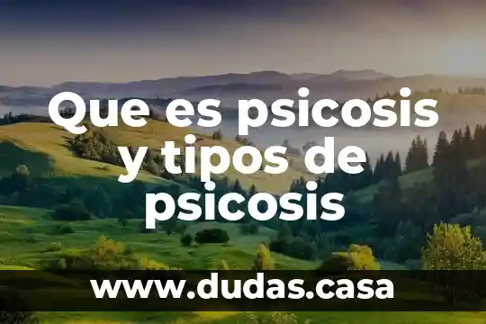 Que es psicosis y tipos de psicosis