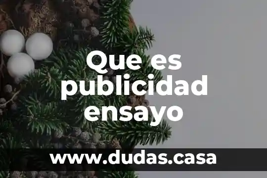 Que es publicidad ensayo