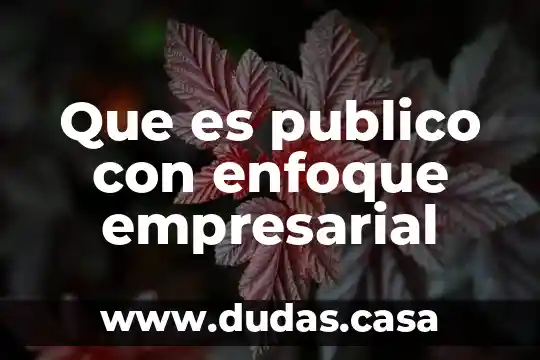 Que es publico con enfoque empresarial