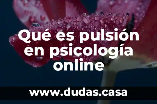 Qué es pulsión en psicología online