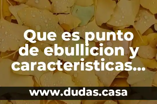 Que es punto de ebullicion y caracteristicas en los hidrocarburos